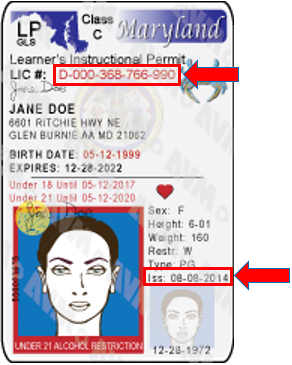 Sample Maryland Learner's Permit. Issue date is located at the bottom right-hand side.