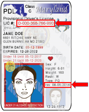 Sample Maryland Provisional Driver's License. Issue date is located at the bottom right-hand side.